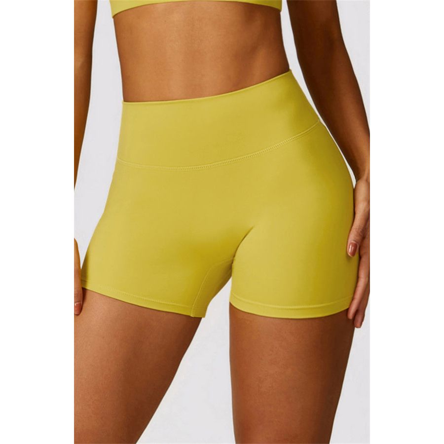 The Scrunch High Waist Shorts