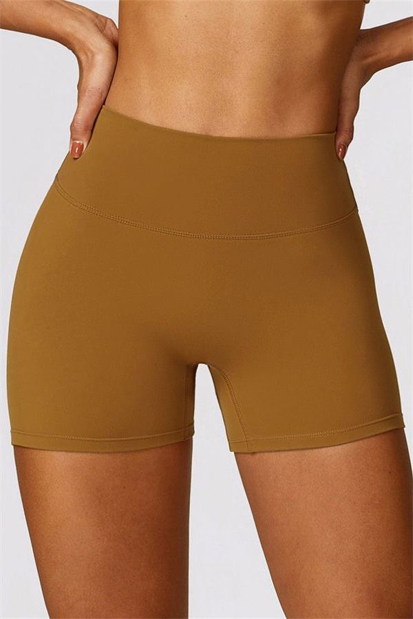 The Scrunch High Waist Shorts
