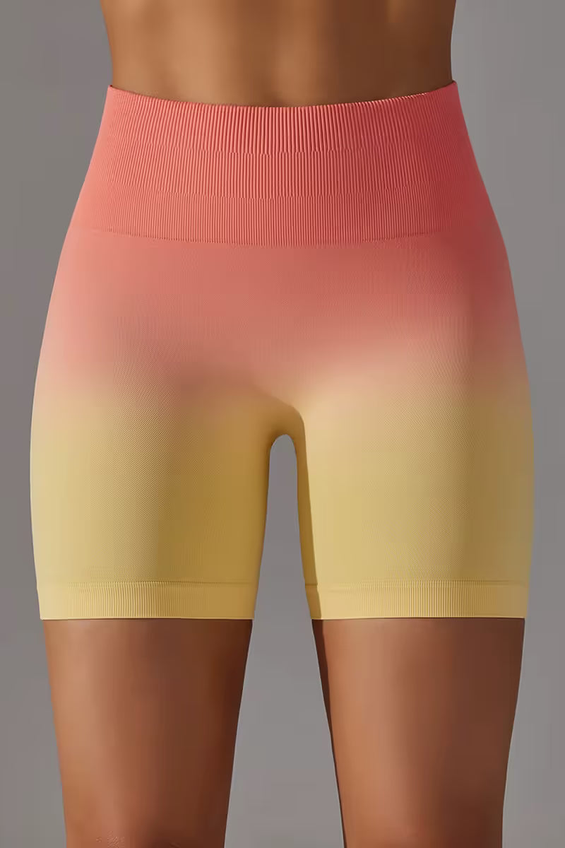 The Gradient High Waist Shorts