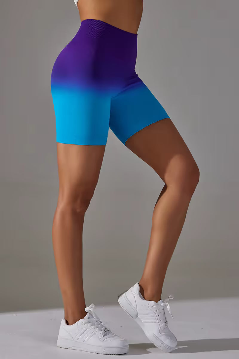 The Gradient High Waist Shorts