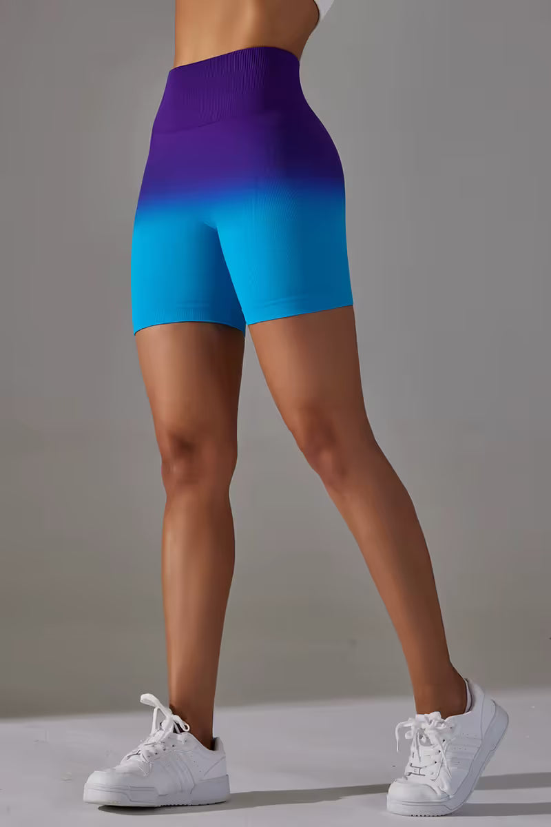 The Gradient High Waist Shorts