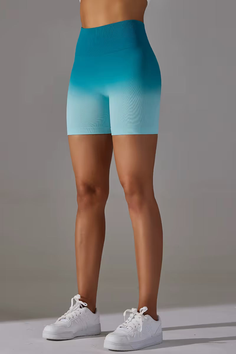 The Gradient High Waist Shorts
