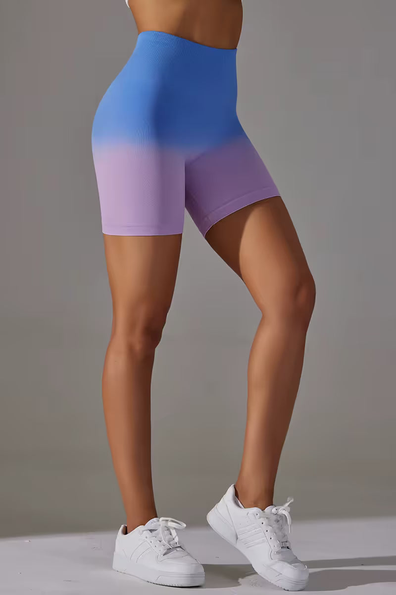 The Gradient High Waist Shorts