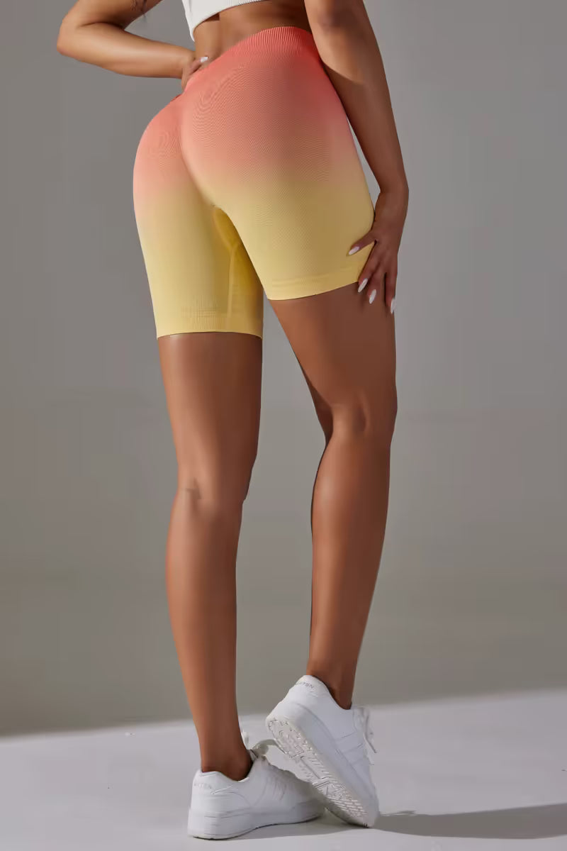 The Gradient High Waist Shorts