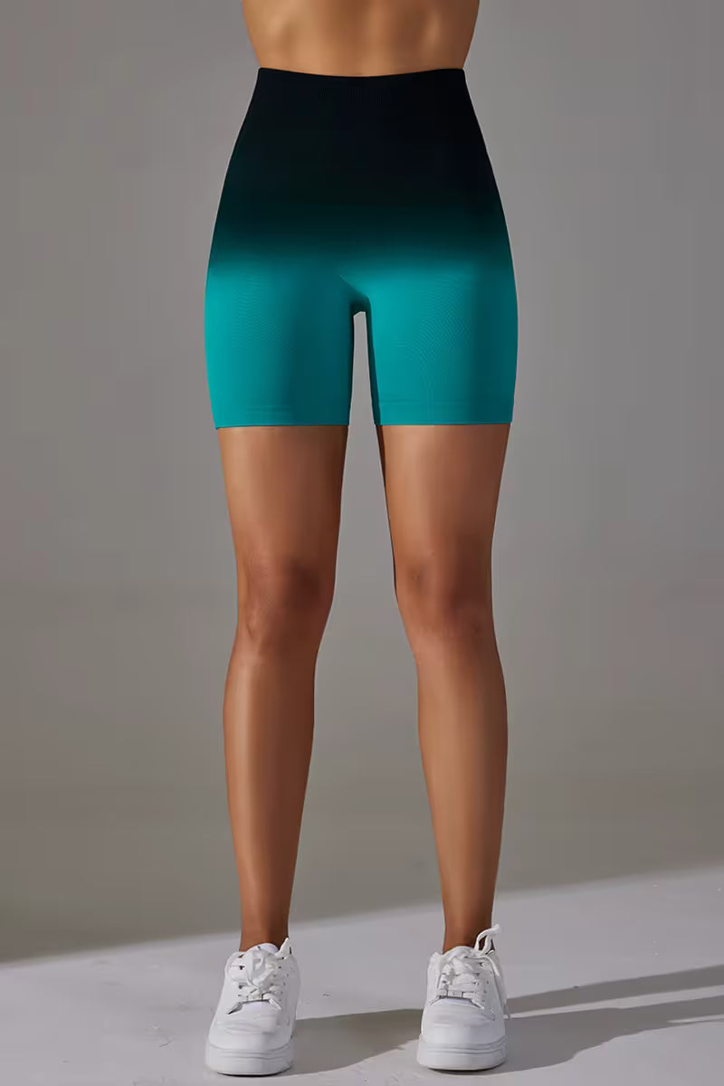 The Gradient High Waist Shorts